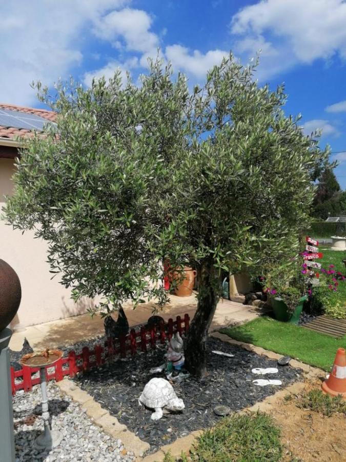 La Roulotte Des Trois Arbres Bed & Breakfast Oradour-sur-Glane Bagian luar foto